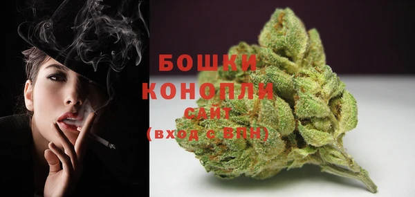 индика Дмитров