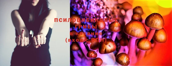 эйфоретик Алексин