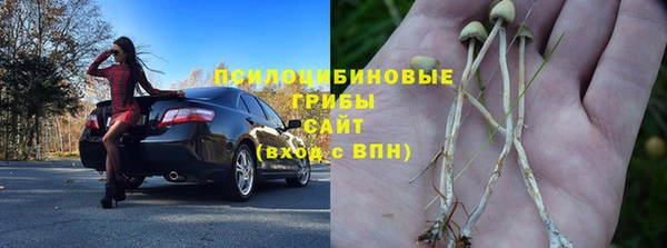 круглые Алексеевка