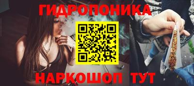 сатива Малгобек