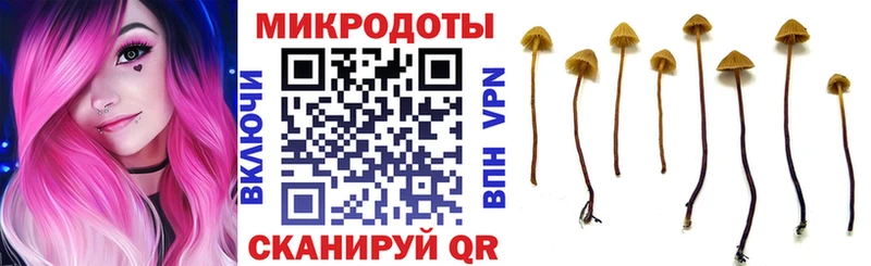 shop наркотические препараты Шуя Галлюциногенные грибы Cubensis