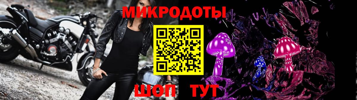 Псилоцибиновые грибы Cubensis Шуя